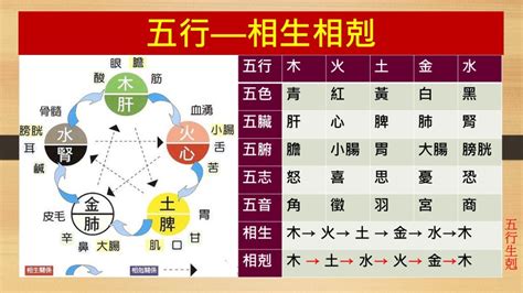 八字 生剋|「八字入門講解」四柱間的五行生剋關係運作